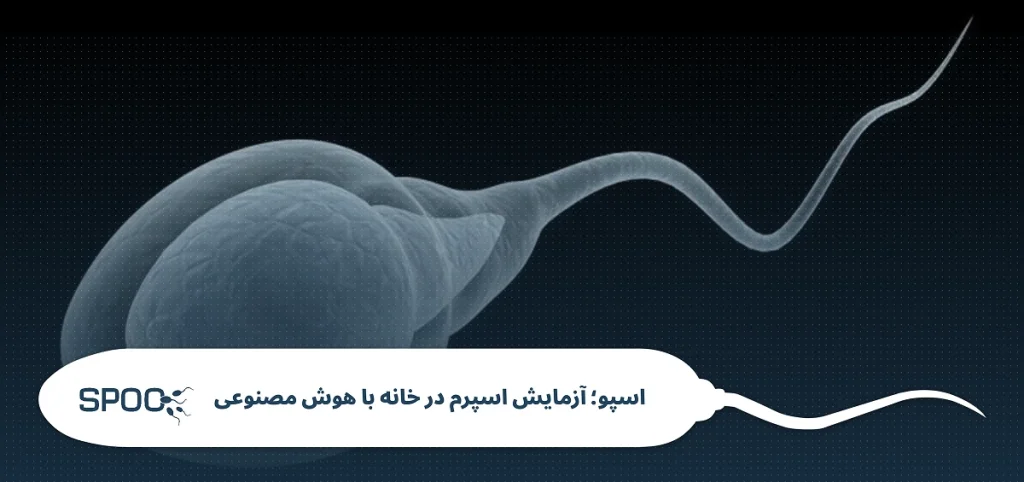 ال کارنیتین و تحرک اسپرم؛ دوز مصرف و تاثیر واقعی بر ناباروری مردان
