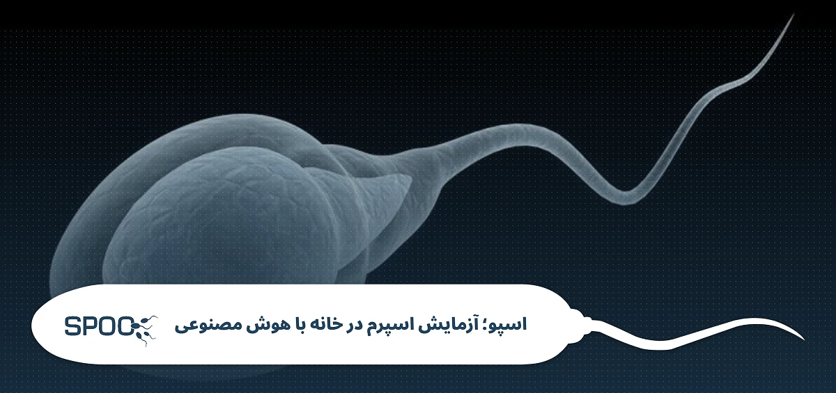 ال کارنیتین و تحرک اسپرم؛ دوز مصرف و تاثیر واقعی بر ناباروری مردان