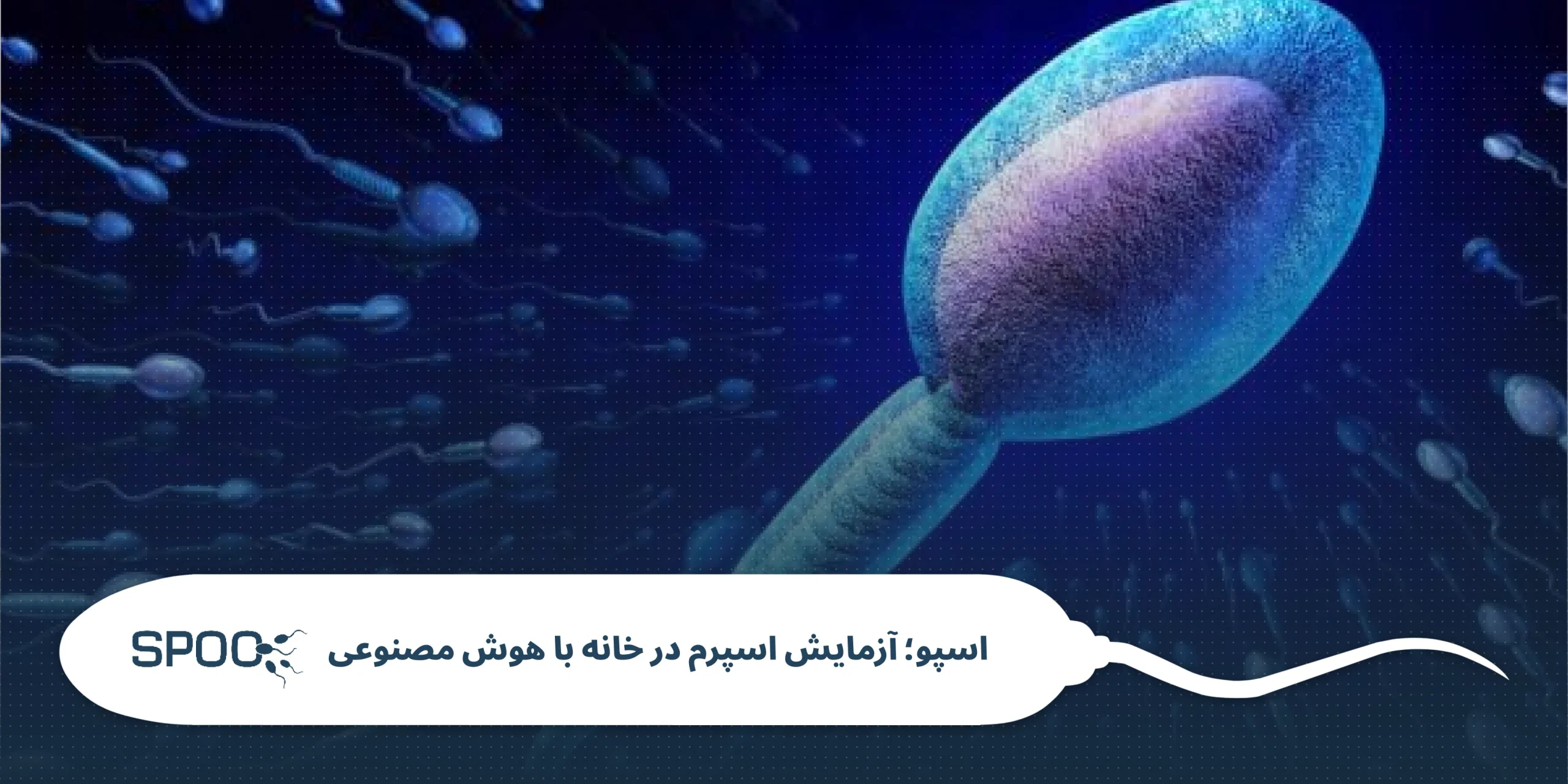 درصد شکل اسپرم: 4 درصد