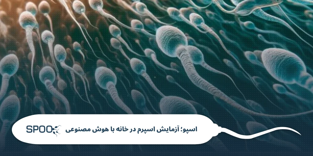 تحرک اسپرم چیست؟ راهکارهای عملی برای درمان کم‌تحرکی اسپرم، تغذیه مناسب و تفسیر آزمایش تحرک اسپرم