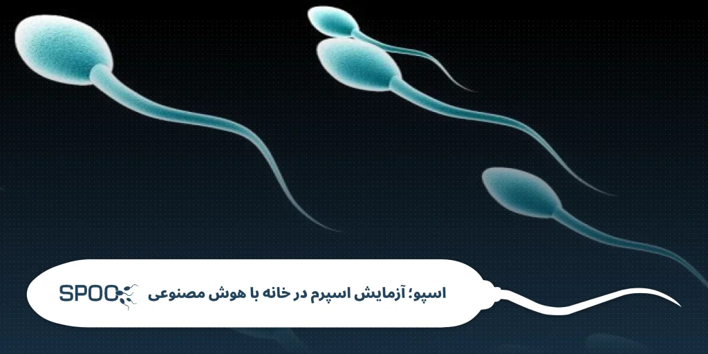 مورفولوژی اسپرم