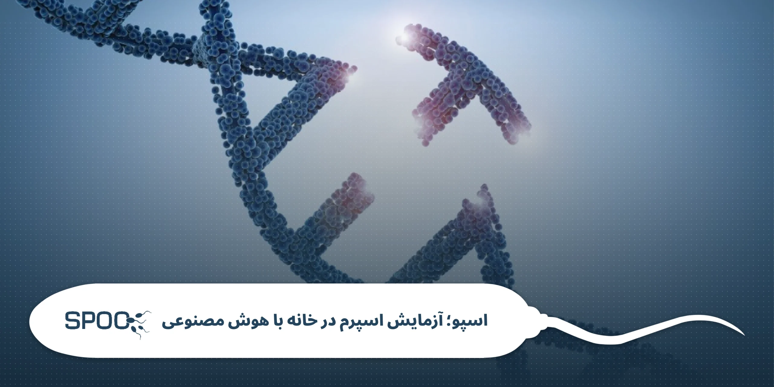 شکست DNA اسپرم چیست و چه تأثیری بر باروری دارد؟
