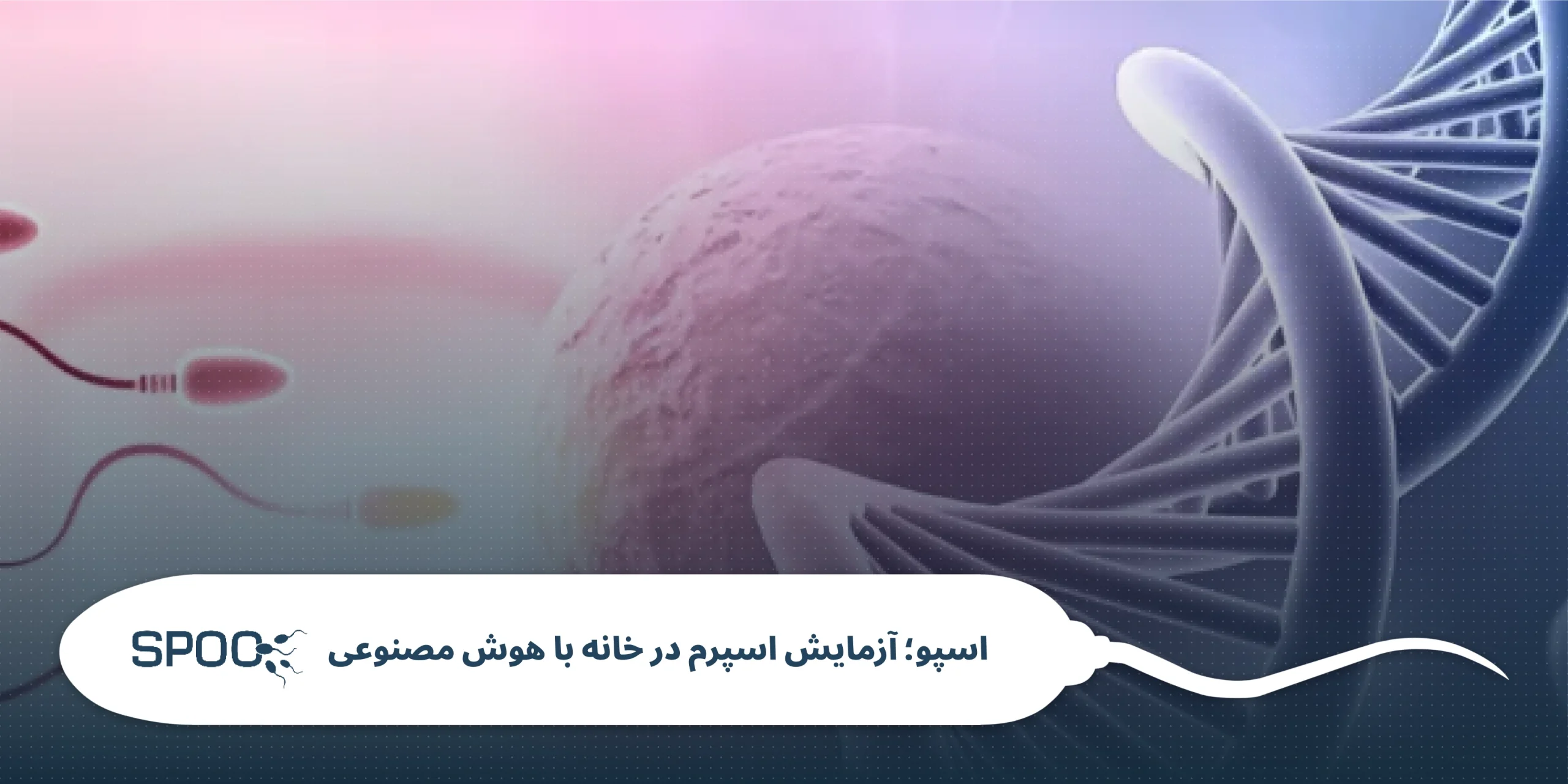 آسیب DNA اسپرم: علت سقط مکرر حتی با اسپرموگرام نرمال