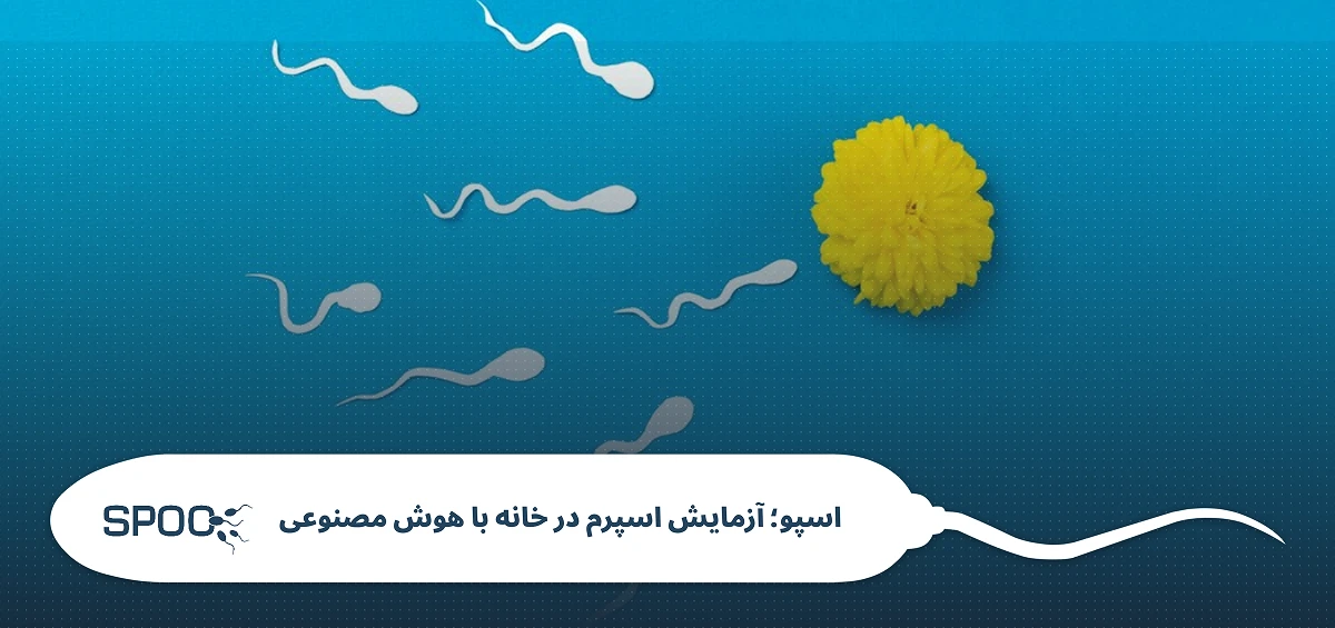 کدام مکمل های دارویی برای باروری مردان مفید است؟