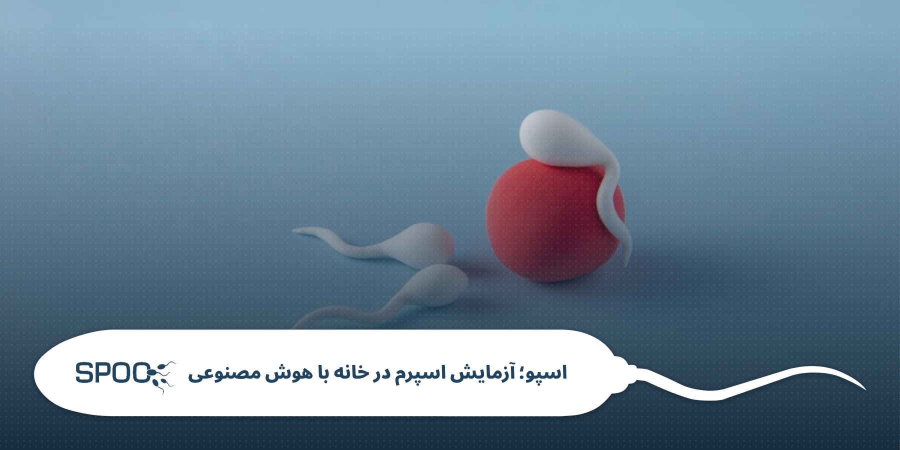 واریکوسل: دشمن درونی اسپرم ها