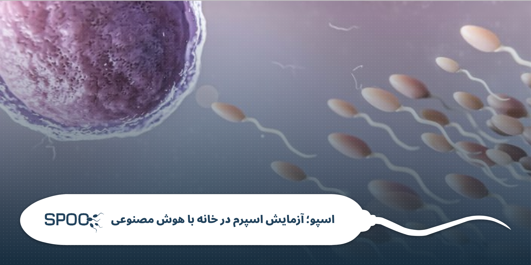 تاثیر گرما بر اسپرم | ۷ عادت خطرناک که بیضه‌ها را نابود می‌کند