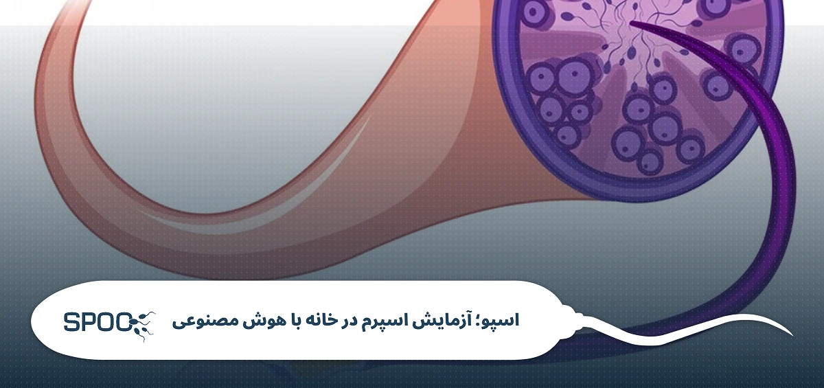 شایعترین دلایل ورم بیضه