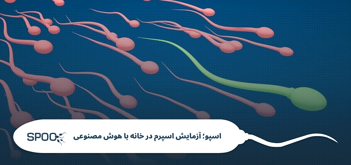 منی آبکی