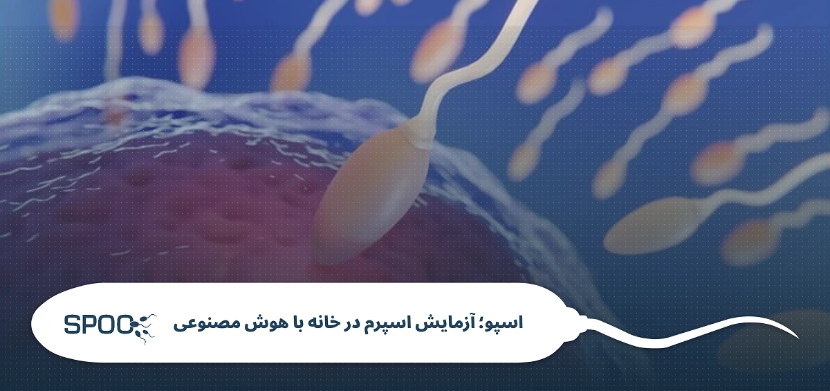 تقویت اسپرم ضعیف برای بارداری