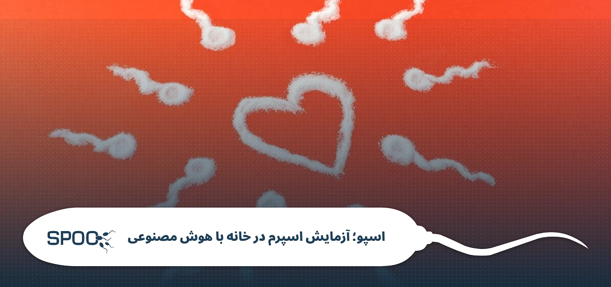 طول عمر اسپرم در داخل بدن زن
