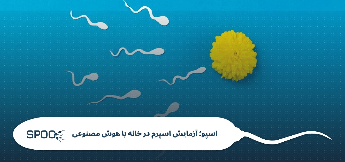 طول عمر اسپرم چقدر است؟ حقایق علمی زنده مانی اسپرم در لباس، آب و محیط