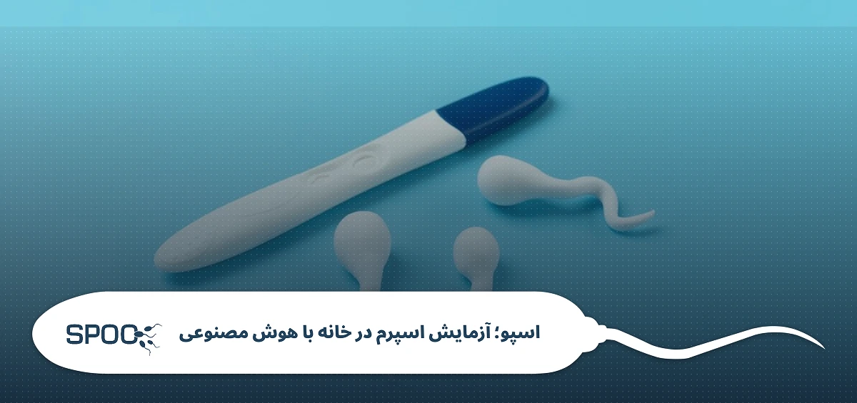 جدول زمانبندی بقای اسپرم (راهنمای سریع)