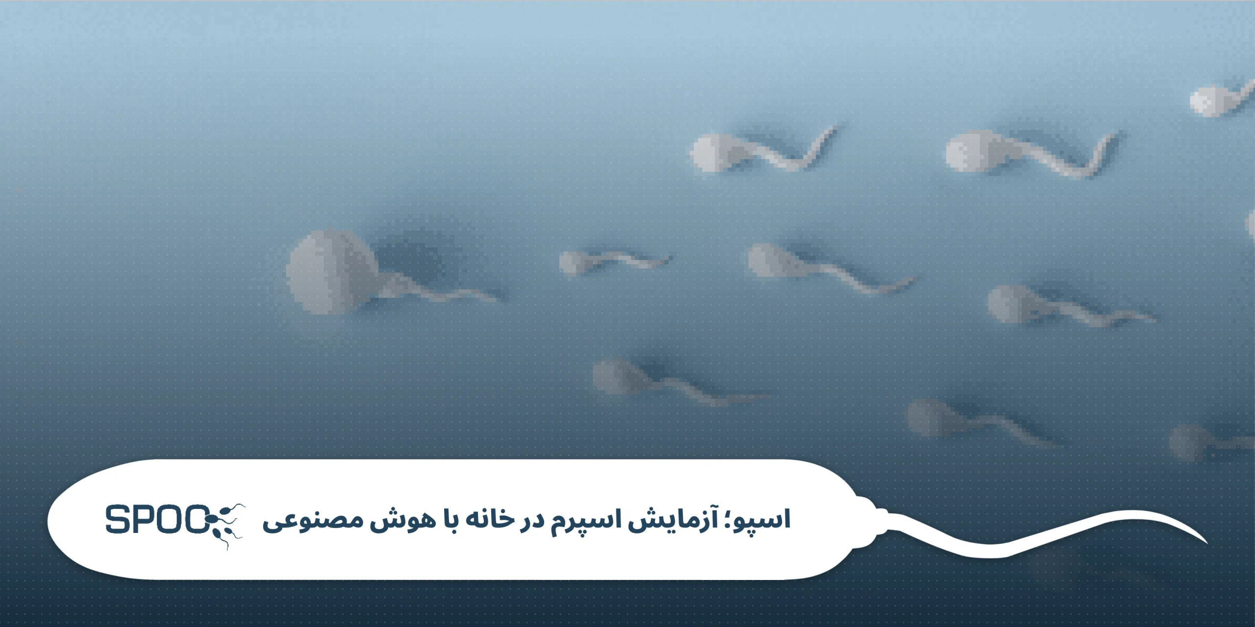 آزمایش اسپرم با آب؛ یک خرافات بسیار خطرناک؟ (راهنمای جامع ۱۴۰۴)