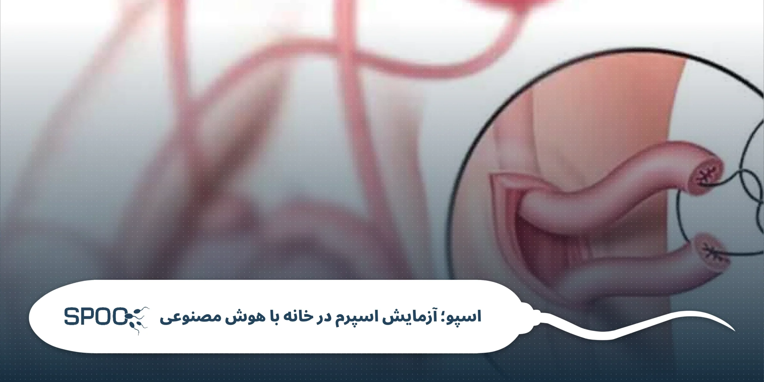 تشخیص انسداد لوله منی