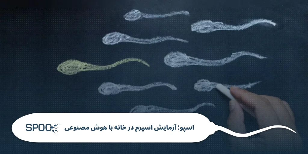 راهنمای تست خانگی اسپرم