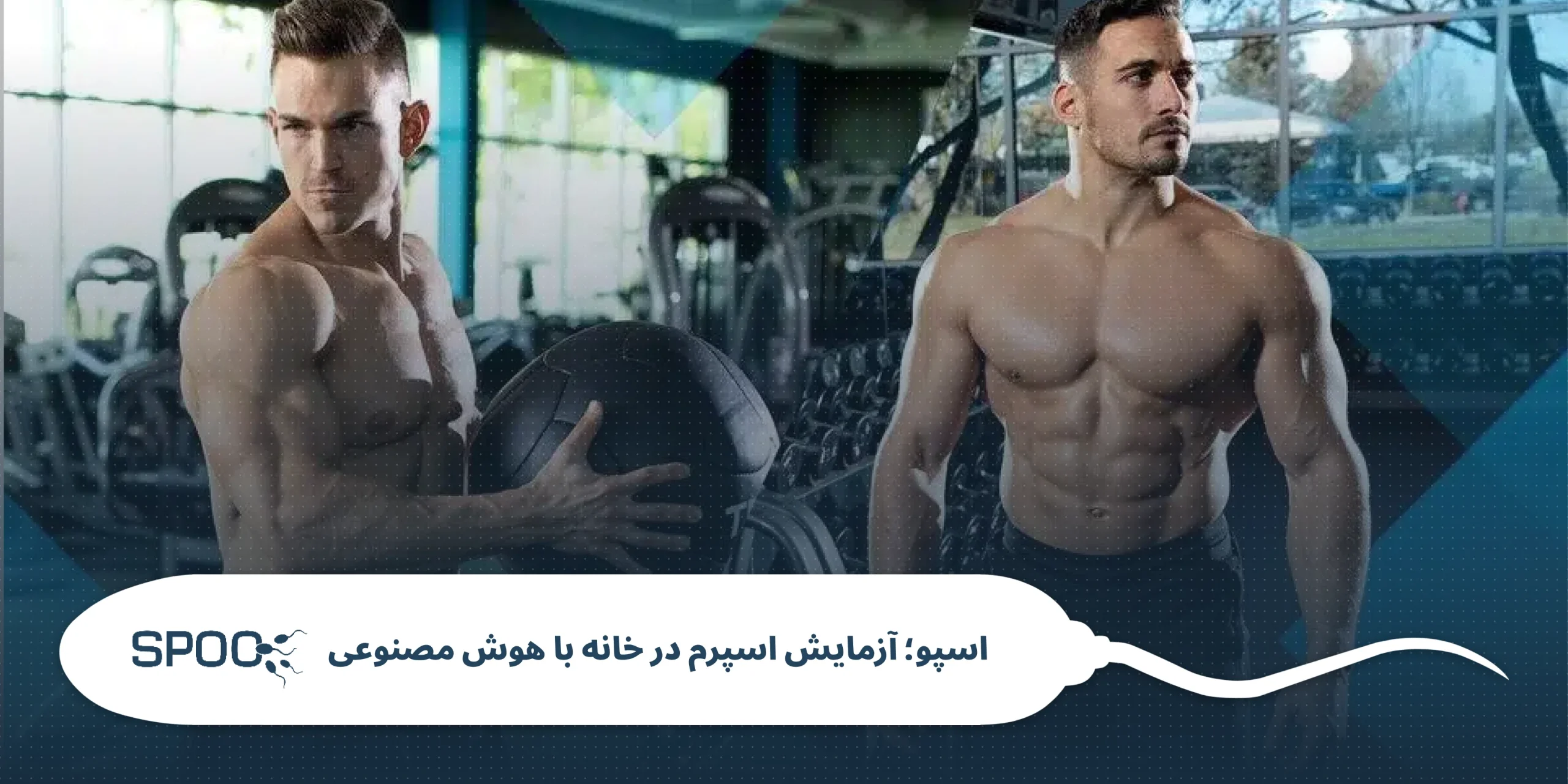 وقتی ورزش میکنید دقیقاً چه اتفاقی برای بیضهها میافتد؟