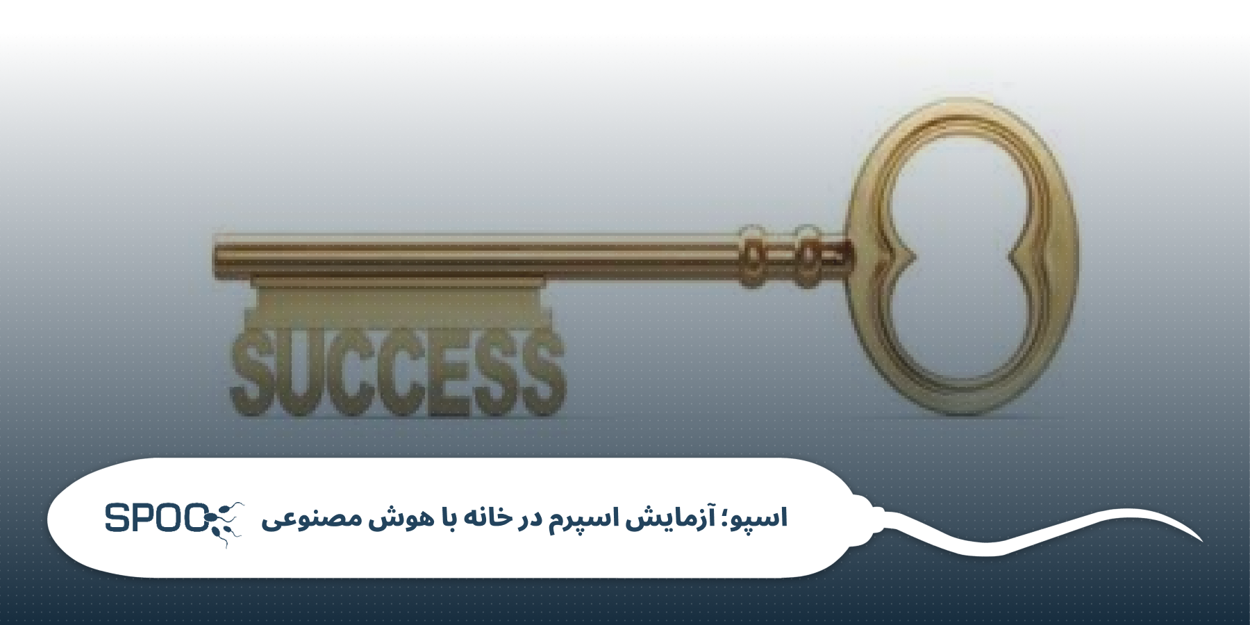نکات کاربردی برای مردان قبل و بعد از درمان