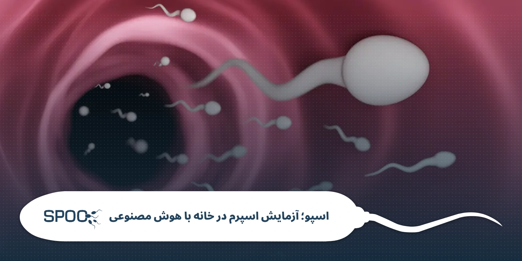 رابطه حجم منی با کیفیت اسپرم و باروری