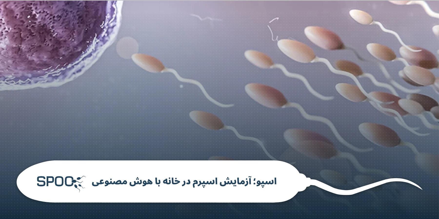 سبک زندگی و نکات کاربردی برای حفظ اسپرم