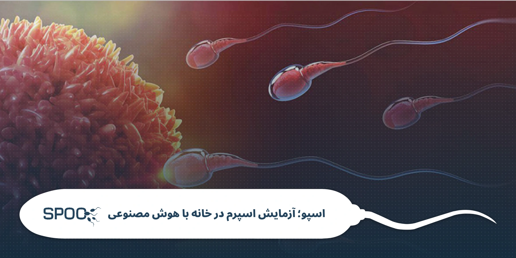  برنامه ۹۰ روزه افزایش حجم و قدرت باروری