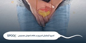 پروستات چیست و آیا روی باروری مردان تاثیر دارد؟